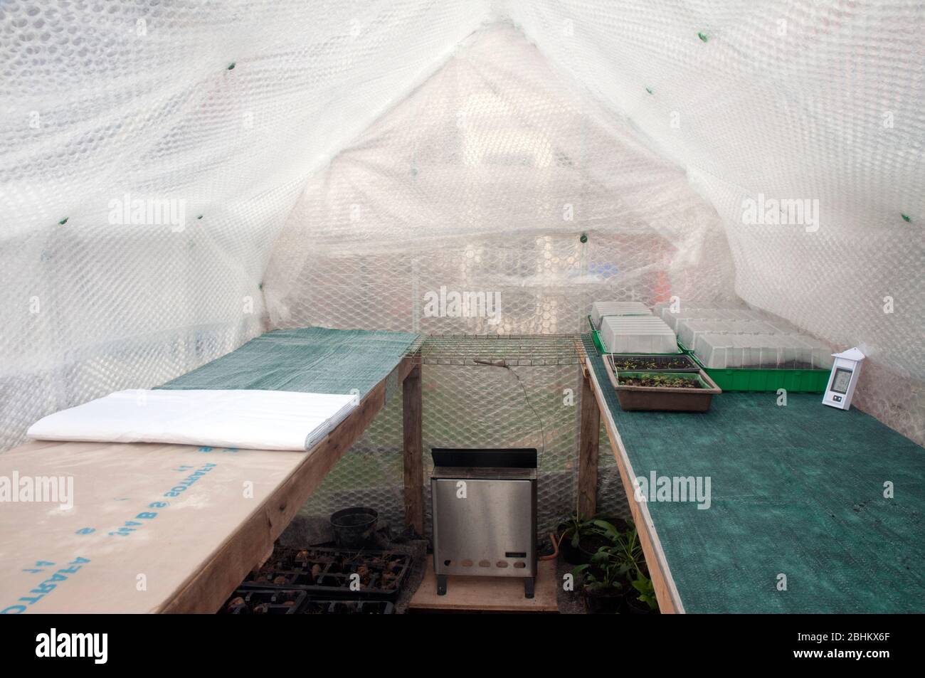Capillary matting being liad on staging in greenhouse that is insulated with bubble wrap. Greenhouse heater and thermometer installed for seed sowing. Stock Photo