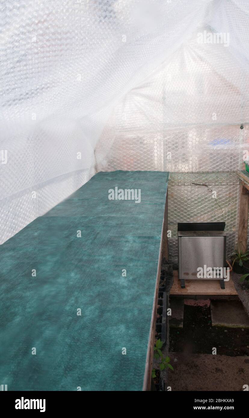 Capillary matting been liad on staging in greenhouse that is insulated