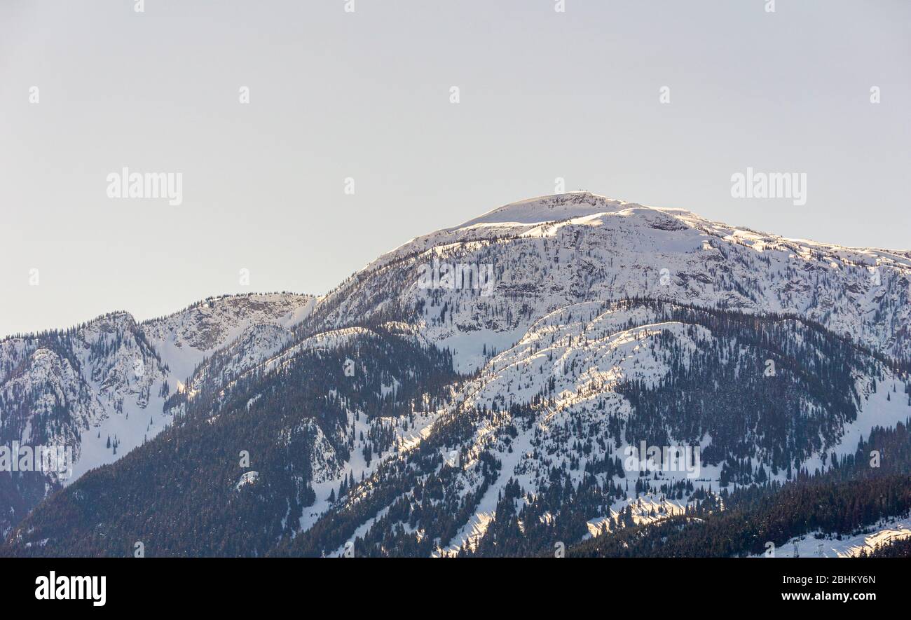 close-up view of the mountain peak with trees and snow on it sunny ...