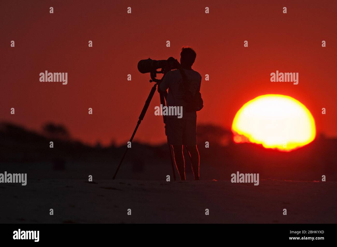 Nature photographer silhouetted at sun rise Stock Photo