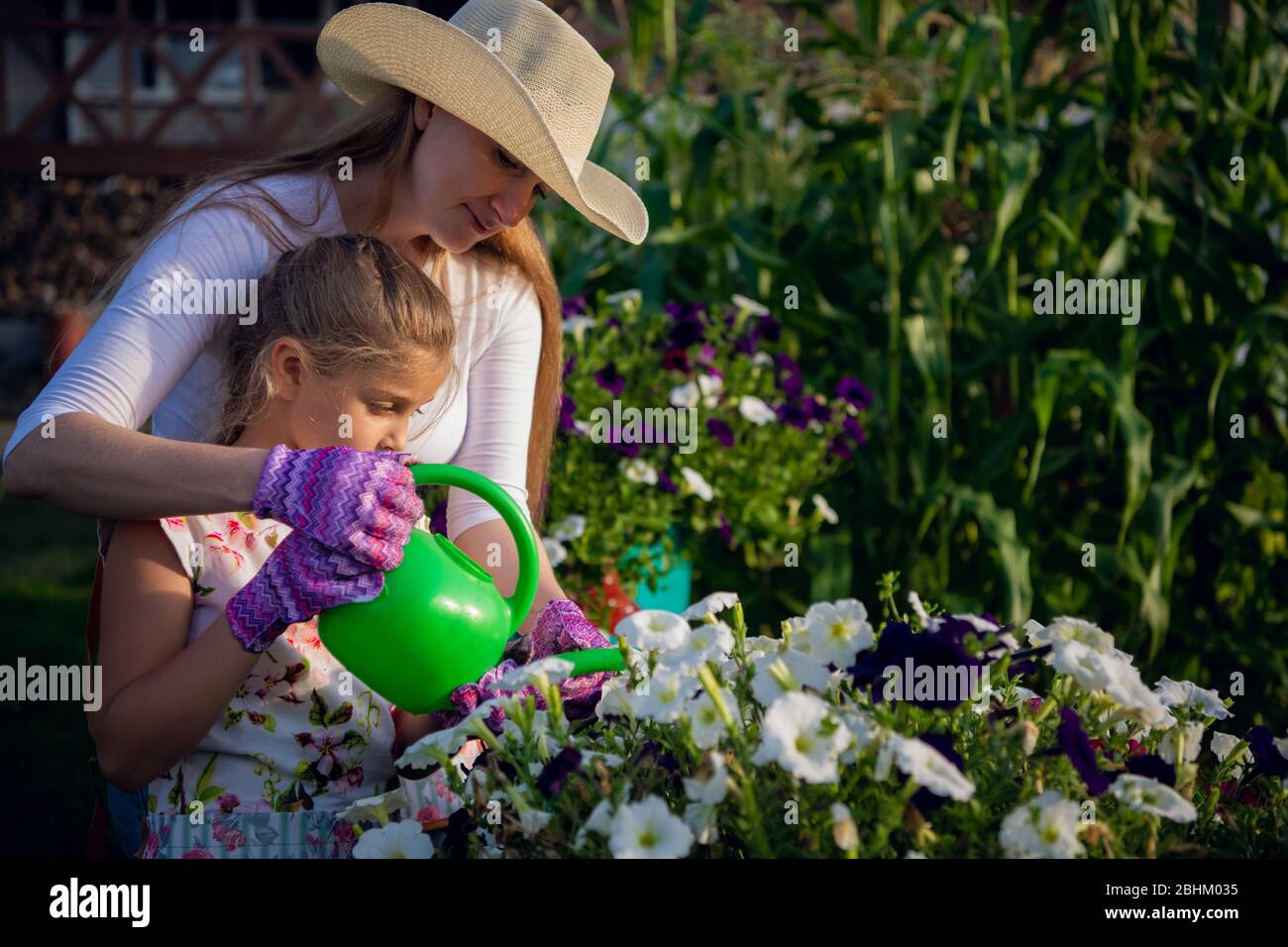 Young girl watering potted flower plant smiling Stock Photo - Alamy