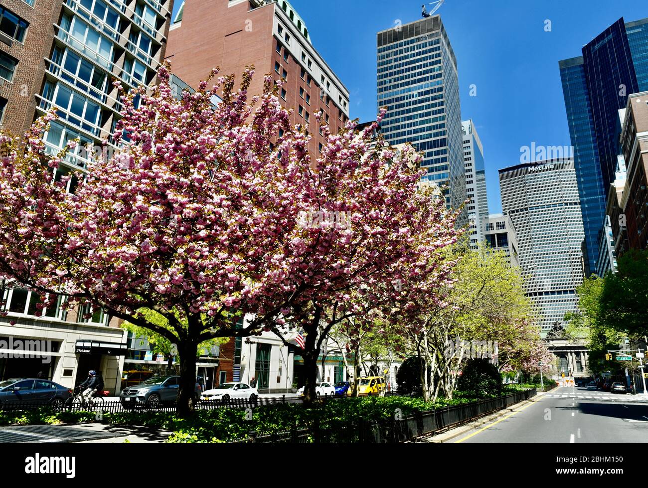 Grand Central Terminal view and Park Avenue, New York City, USA Stock Photo