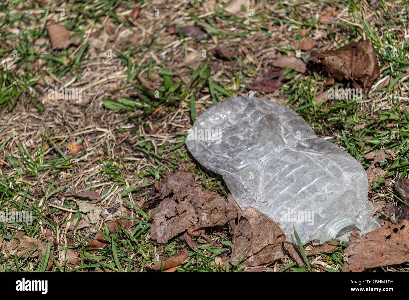 A plastic water bottle has been flattened and sits on the grass outside. Stock Photo