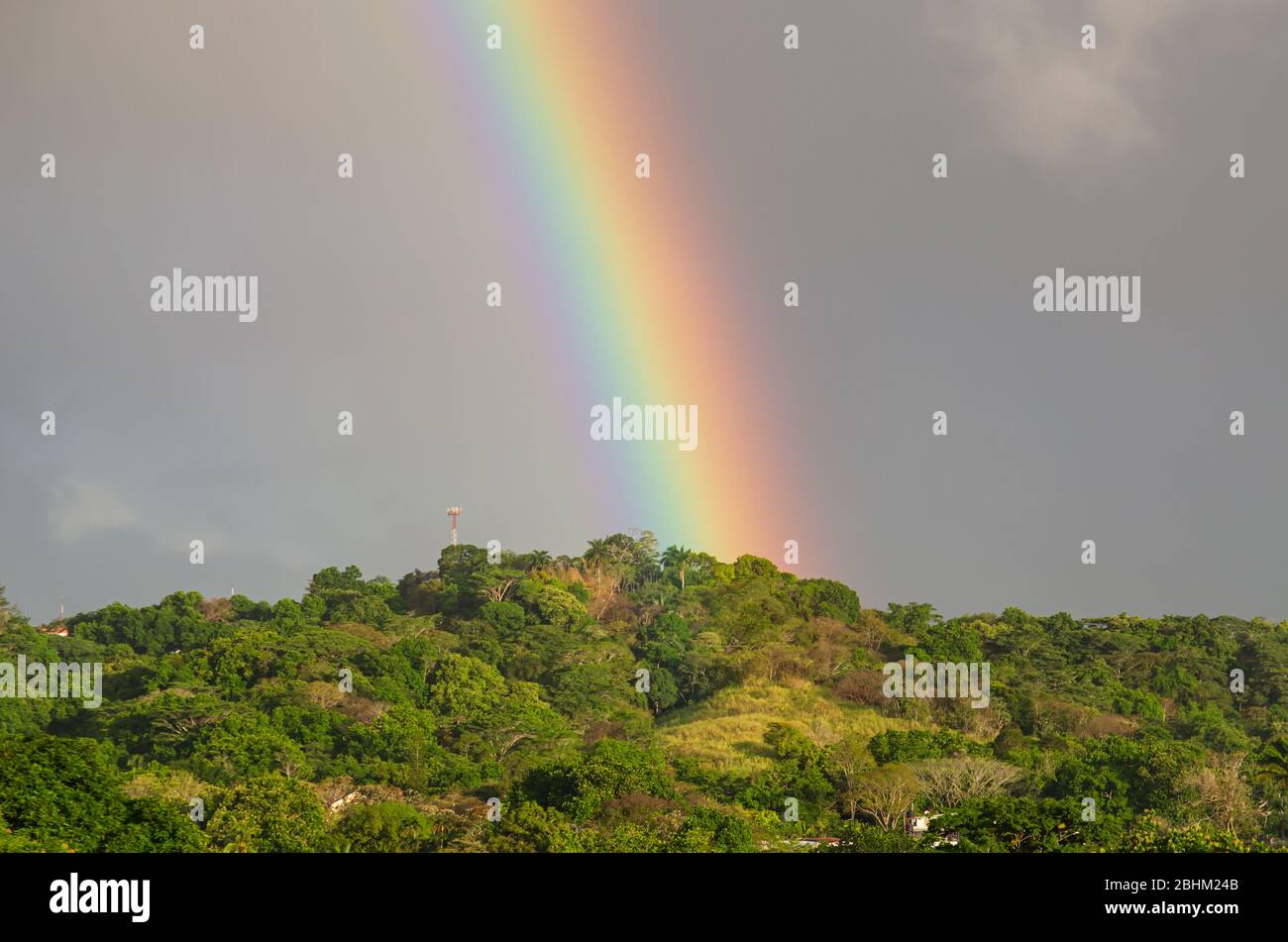 Vibrant rainbow arching over lush forested hills in the countryside Stock Photo