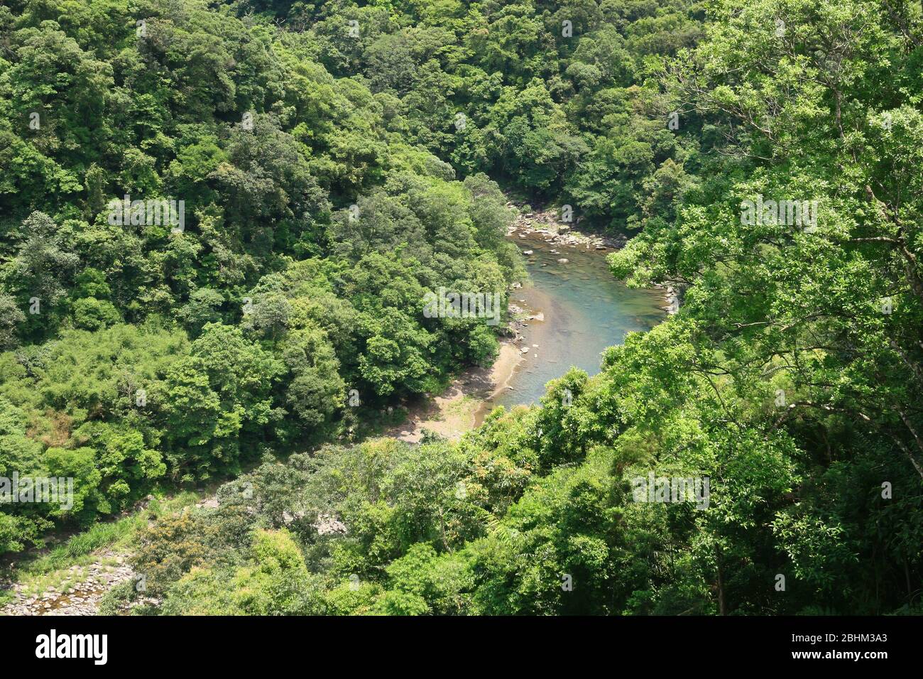 Temperate rainforest biome hi-res stock photography and images - Alamy