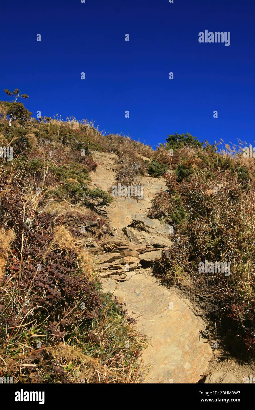 Sunny view of the Hehuan North Peak Trail at Nantou, Taiwan Stock Photo
