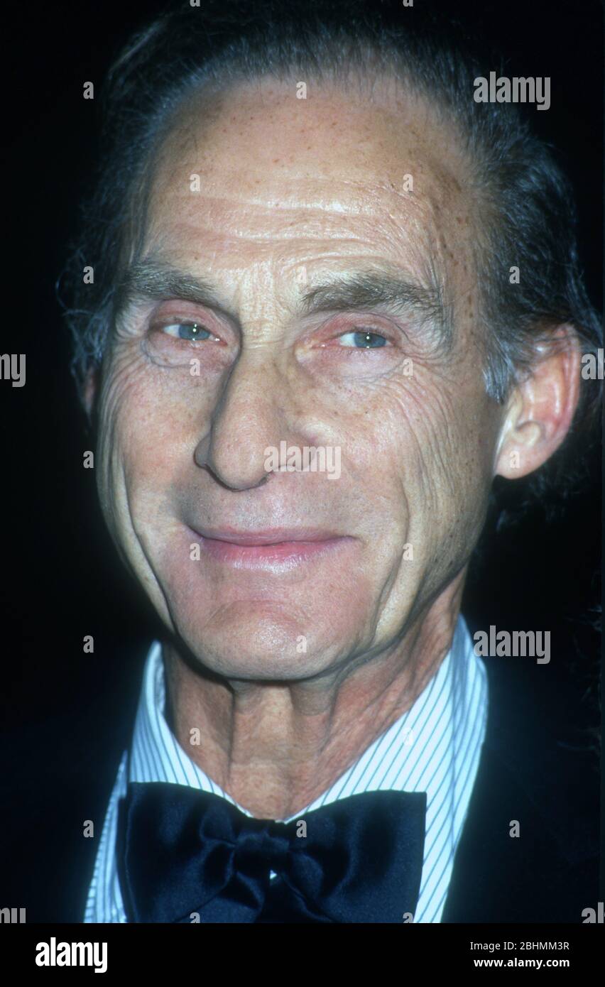 Sid Caesar 1992, Photo By Michael Ferguson/PHOTOlink / MediaPunch Stock Photo
