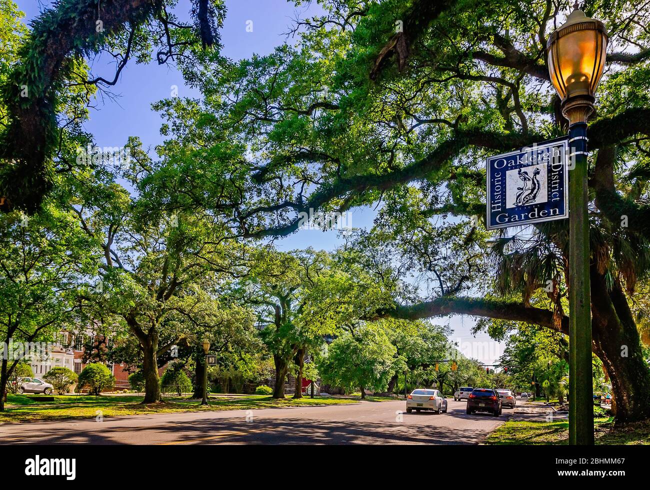 The sun shines through live oak trees in the historic Oakleigh Garden District, April 24, 2020, in Mobile, Alabama. Stock Photo