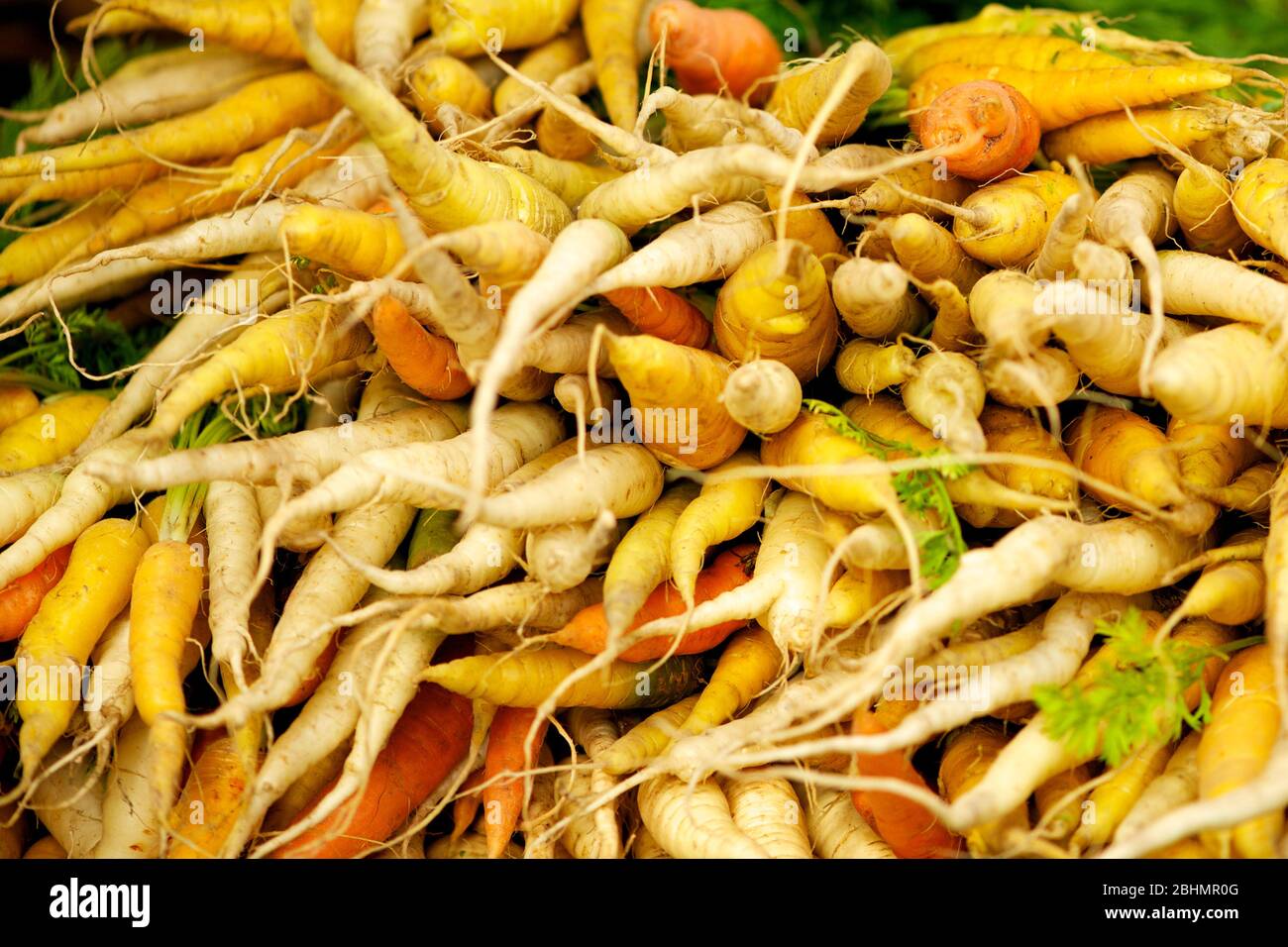 Farmers Market at The Old Biscuit Mill Cape Town, South Africa Stock Photo