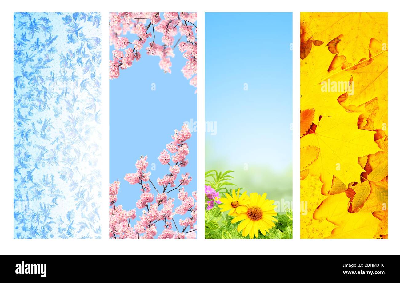 Four seasons of year. Set of vertical nature banners with winter ...
