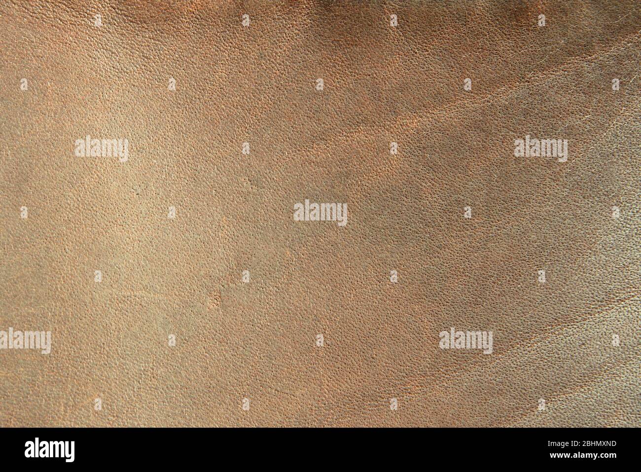 Brown genuine leather texture closeup. Background for text design. Stock Photo