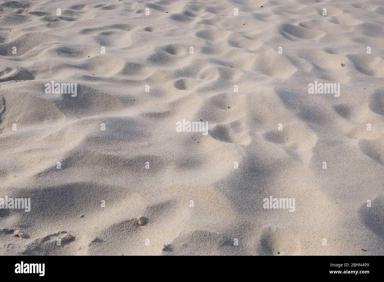 Section of sandy beach in closeup. Stock Photo