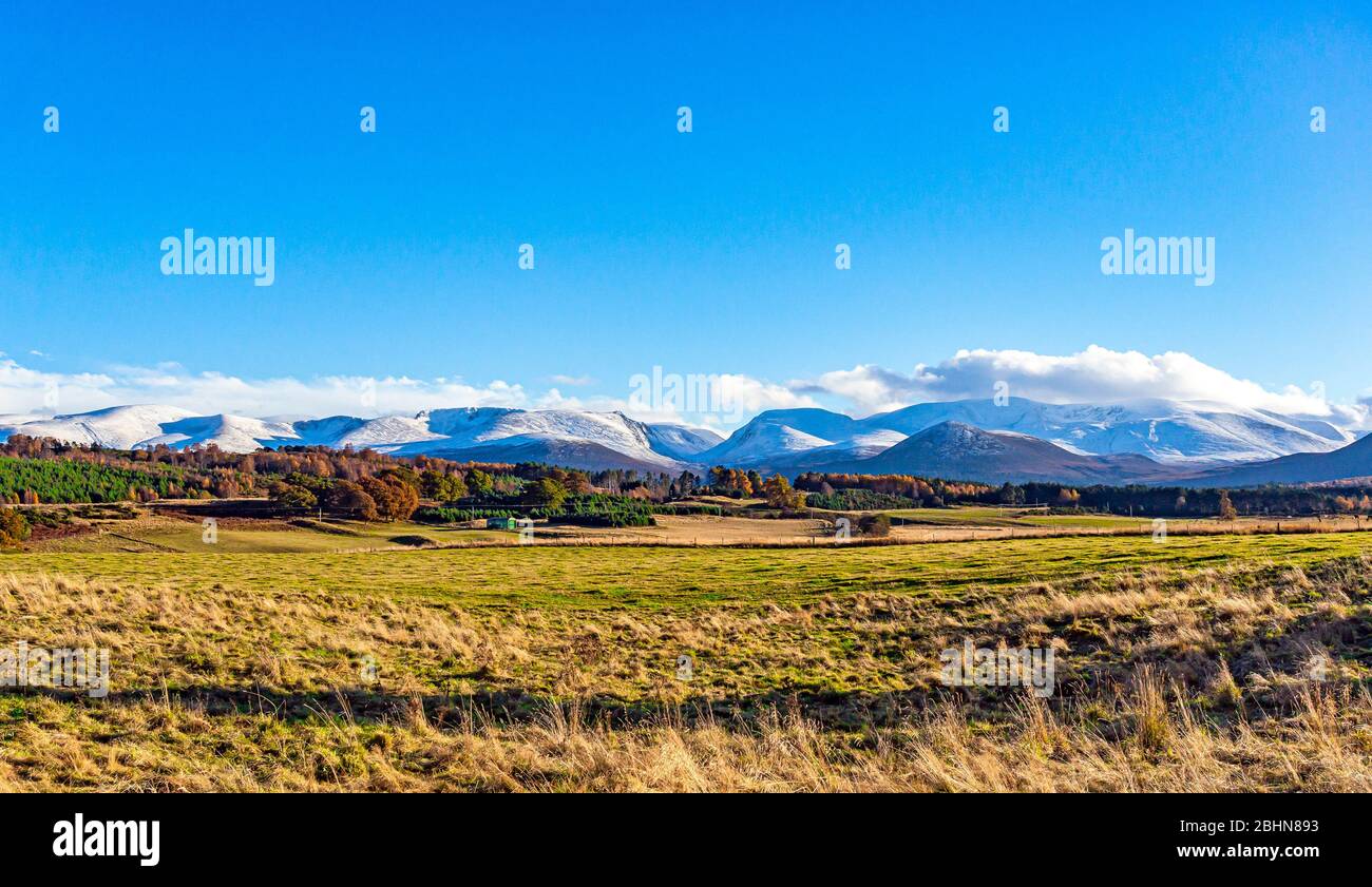 Snowclad Cairngorms in Glenmore Speyside Highland Scotland UK viewed from B970 north of Coylumbridge in autumn with Cairn Gorm (L) & Braeriach (R) Stock Photo