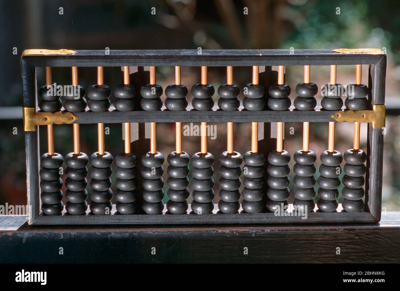 evo abacus 12 cycle computer