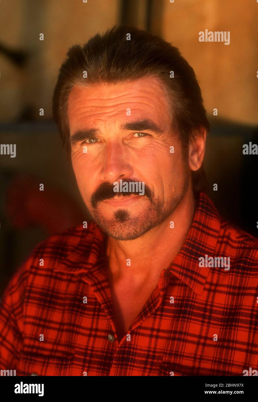 Los Angeles, California, USA 12th September 1995 (Exclusive) Actor James Brolin poses at an exclusive photo shoot on September 12, 1995 in Los Angeles, California, USA. Photo by Barry King/Alamy Stock Photo Stock Photo