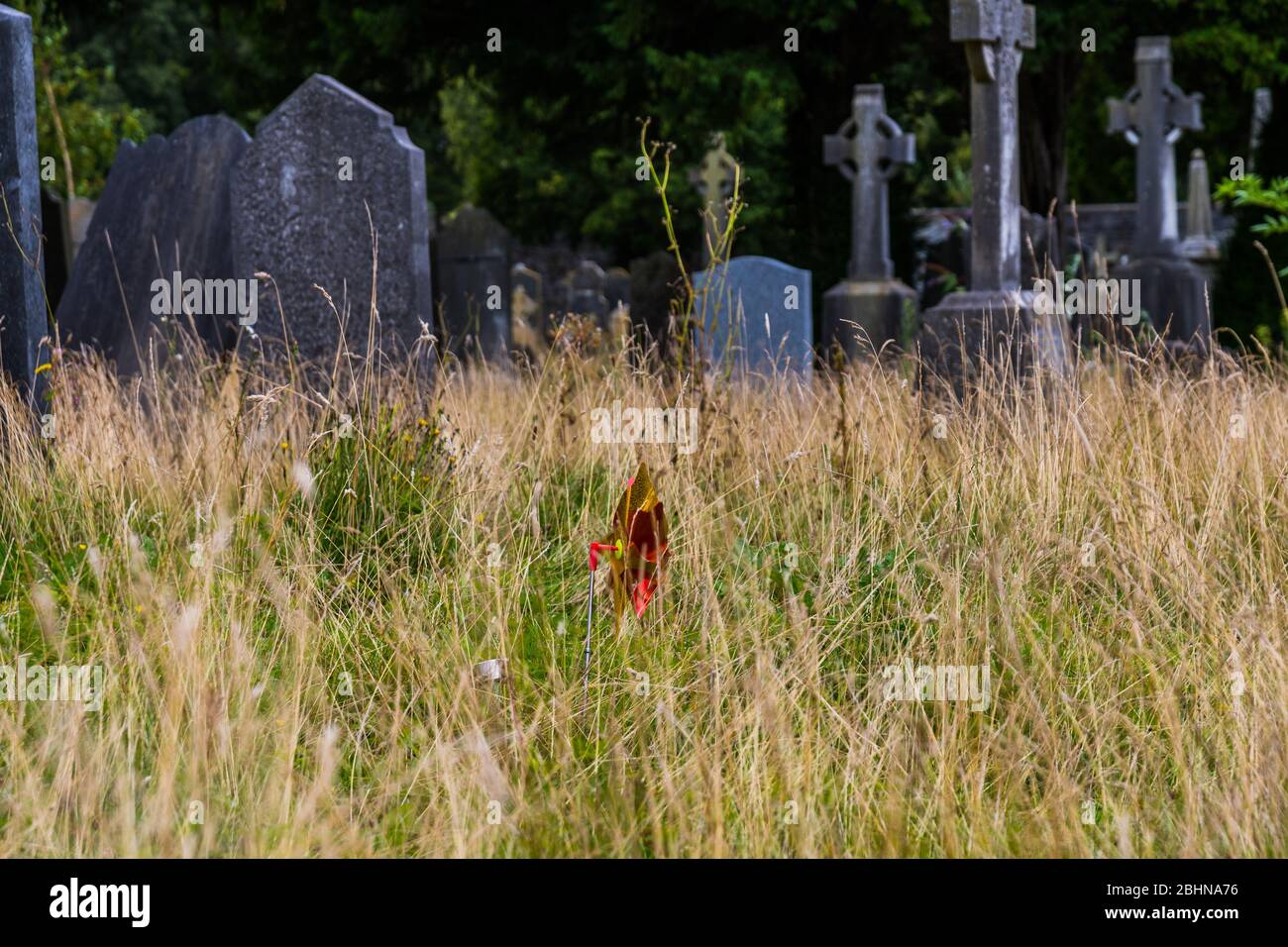 Glasnevin Cemetery was founded in 1831 and is the largest cemetery in ...