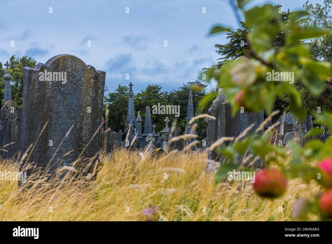 Glasnevin Cemetery was founded in 1831 and is the largest cemetery in ...