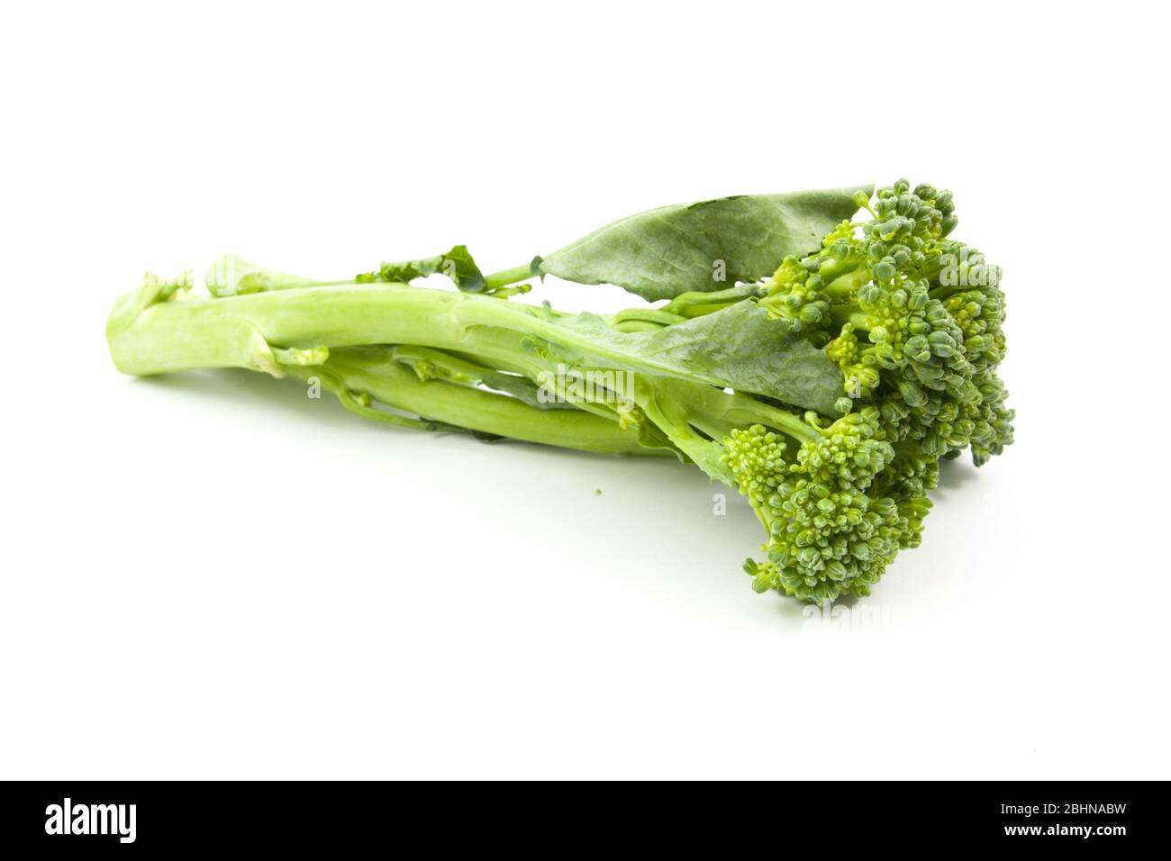 broccolini baby broccoli isolated on white Stock Photo - Alamy