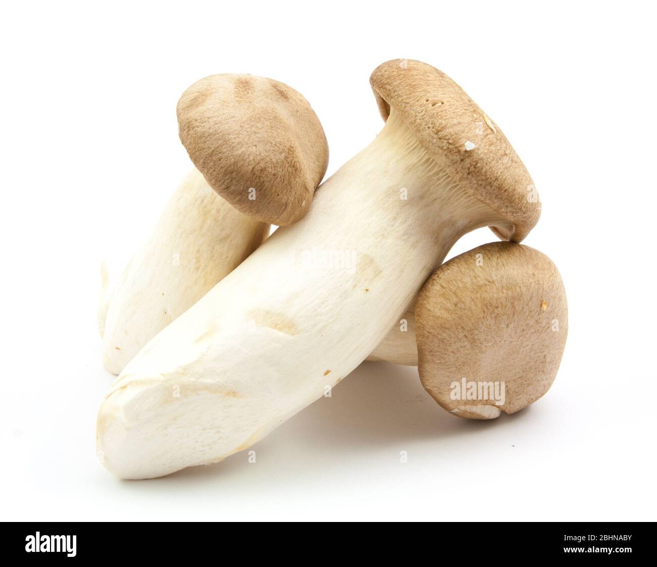 fresh mushrooms isolated on white Stock Photo - Alamy