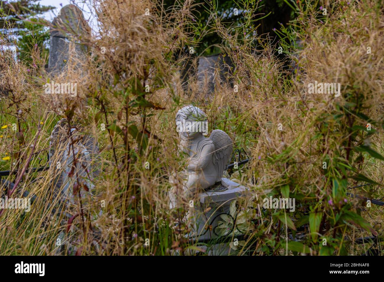 Glasnevin Cemetery was founded in 1831 and is the largest cemetery in ...