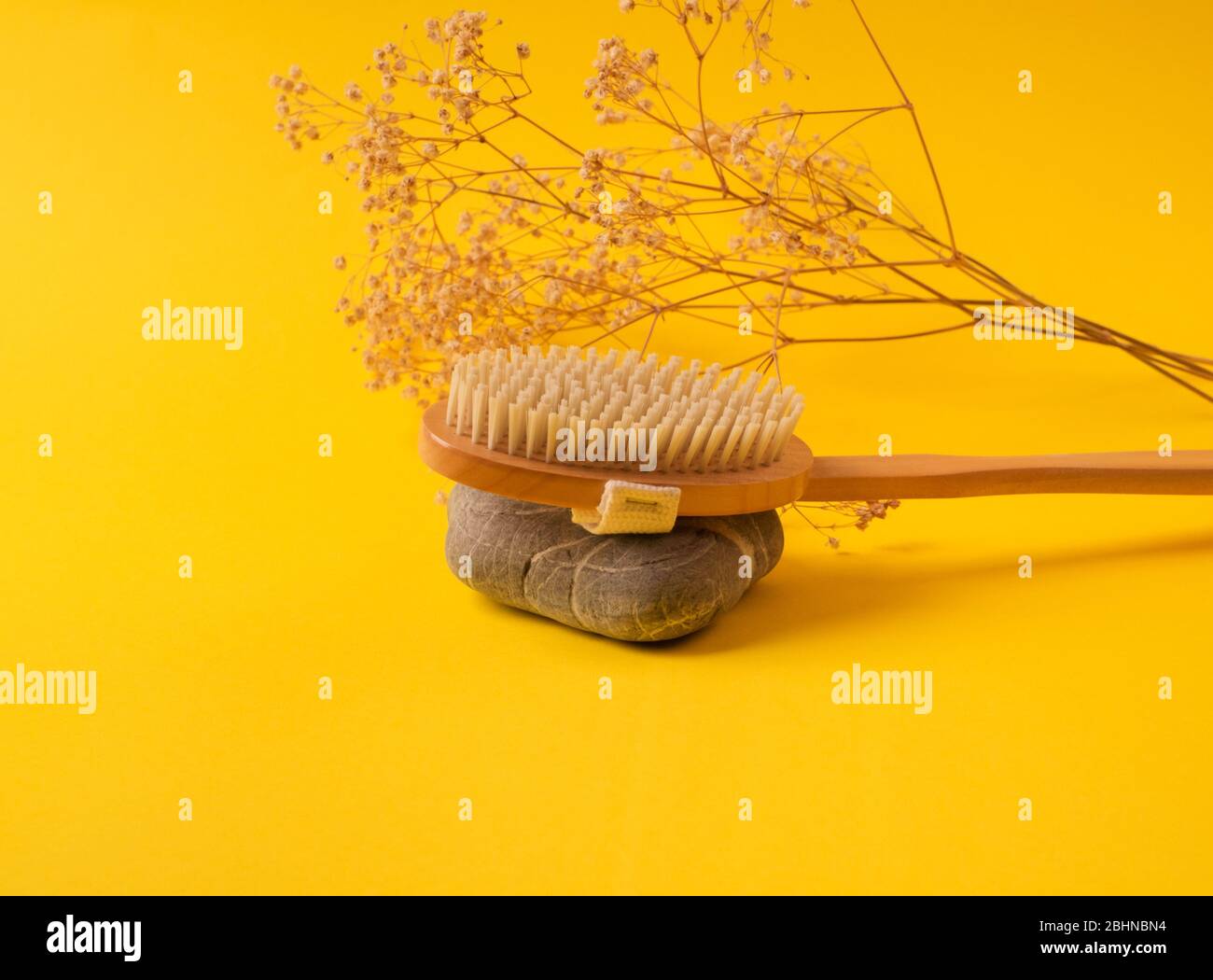 Bathroom dry skin brush hi-res stock photography and images - Alamy