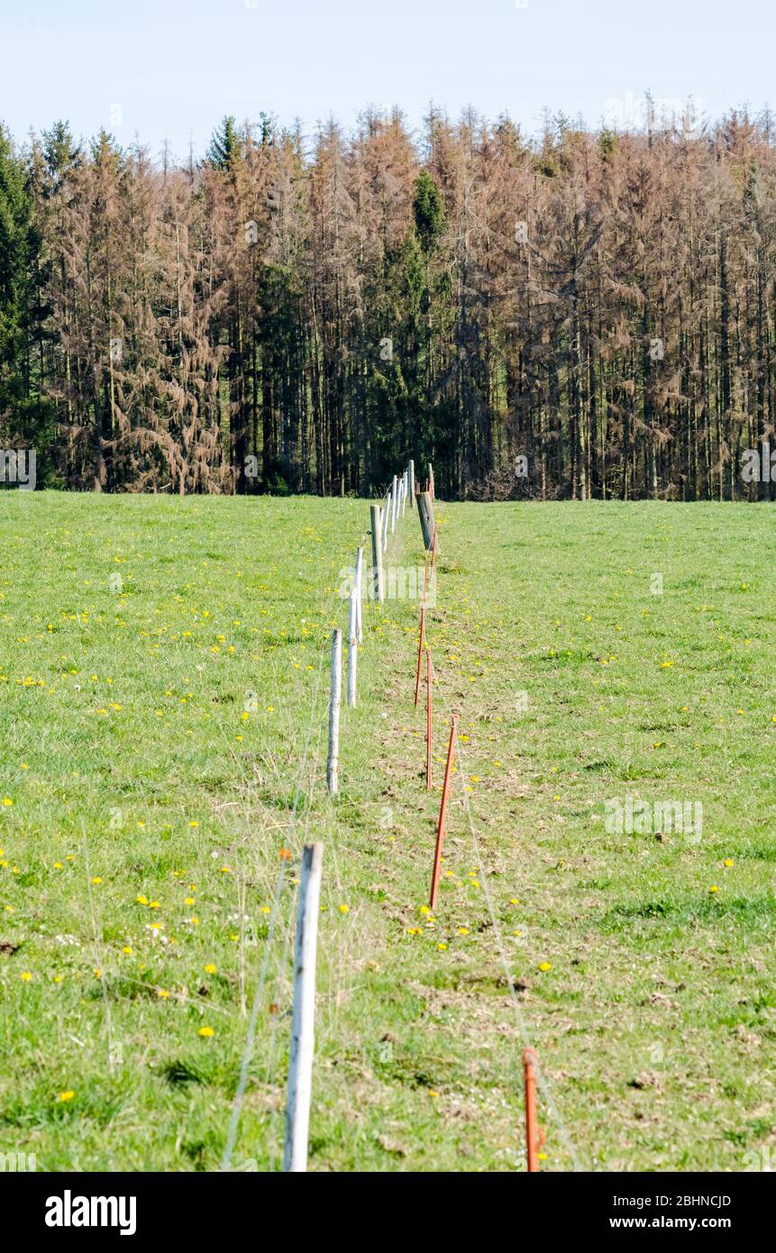 Agricultural fence, electric fence with wires and insulator, near a paddock and pasture in the rural countryside in Rhineland-Palatinate, Germany Stock Photo