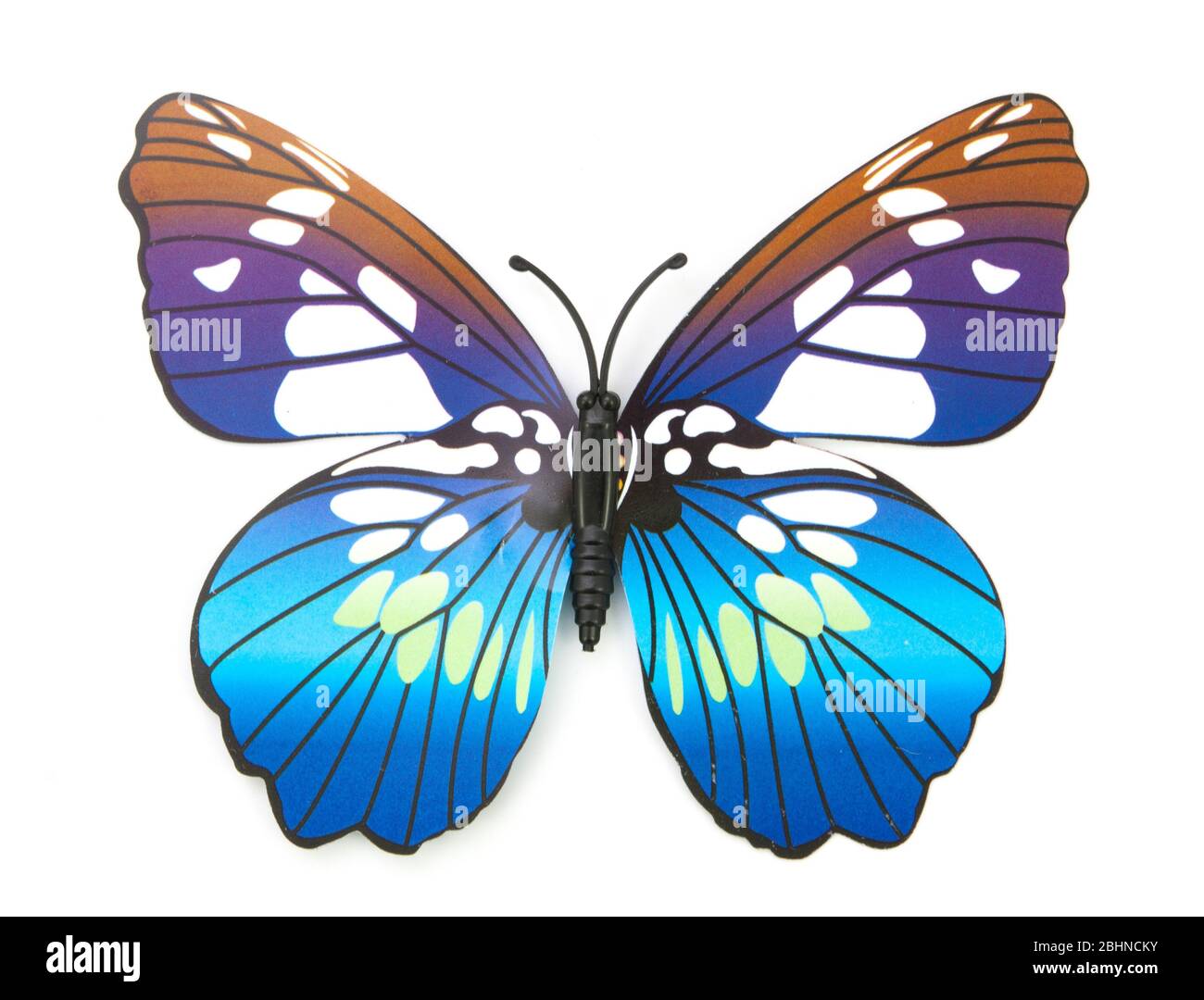 blue fake butterfly isolated white background Stock Photo Alamy
