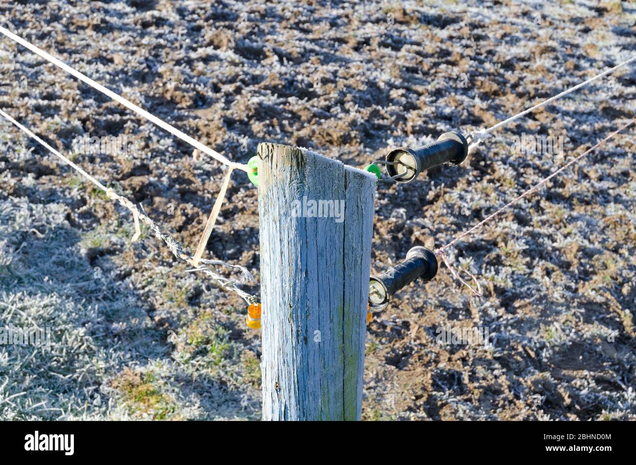 Agricultural fence, electric fence with wires and insulator, near a paddock and pasture in the rural countryside in Rhineland-Palatinate, Germany Stock Photo