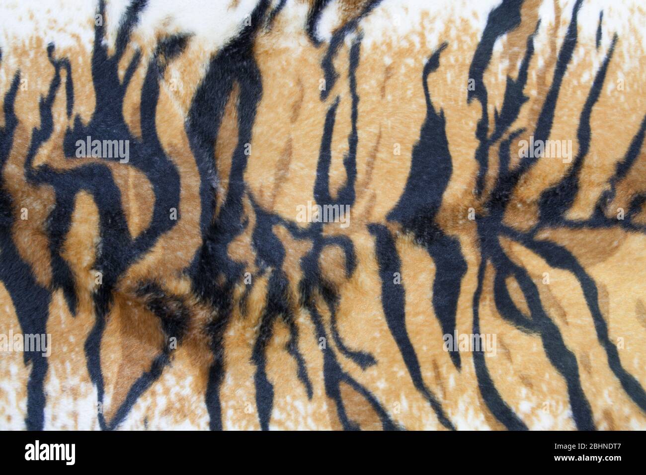 texture of tiger skin background Stock Photo