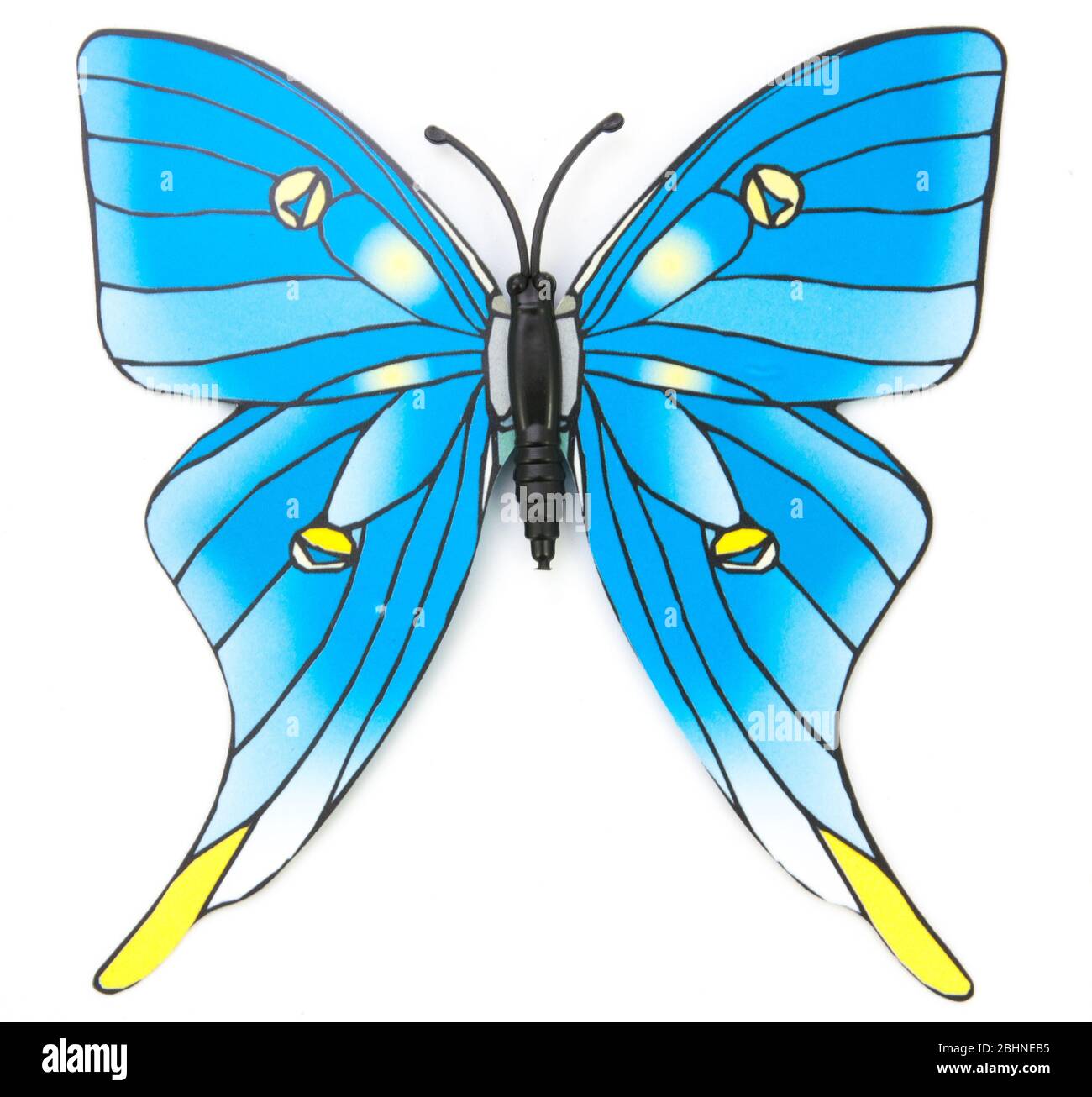 blue fake butterfly isolated white background Stock Photo Alamy