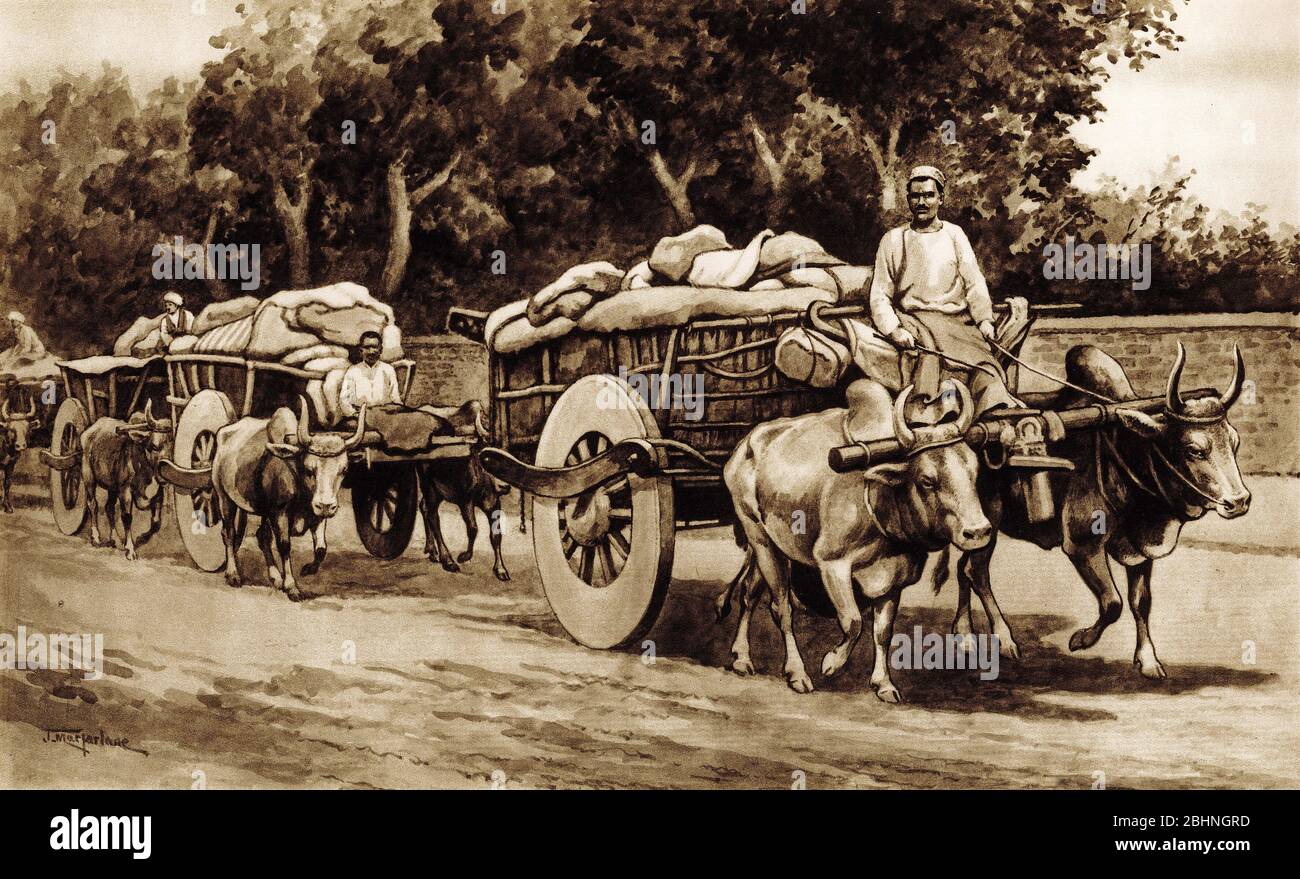 Halftone of a convoy of ox carts carrying goods in India Stock Photo