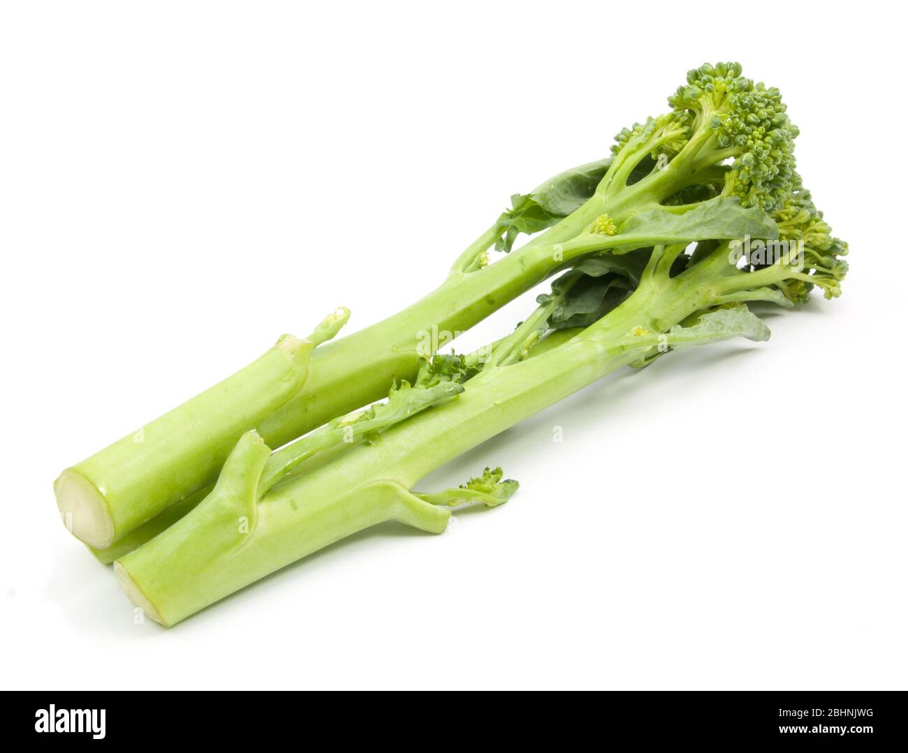broccolini baby broccoli isolated on white Stock Photo - Alamy