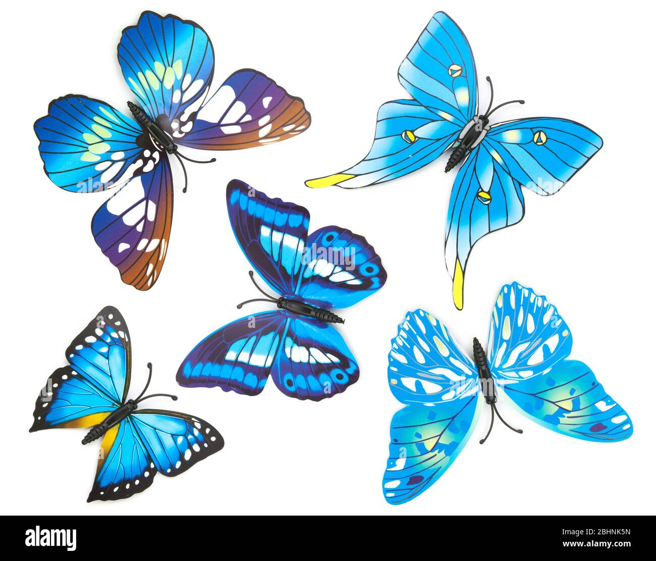 Beautiful collection blue fake butterfly isolated white background