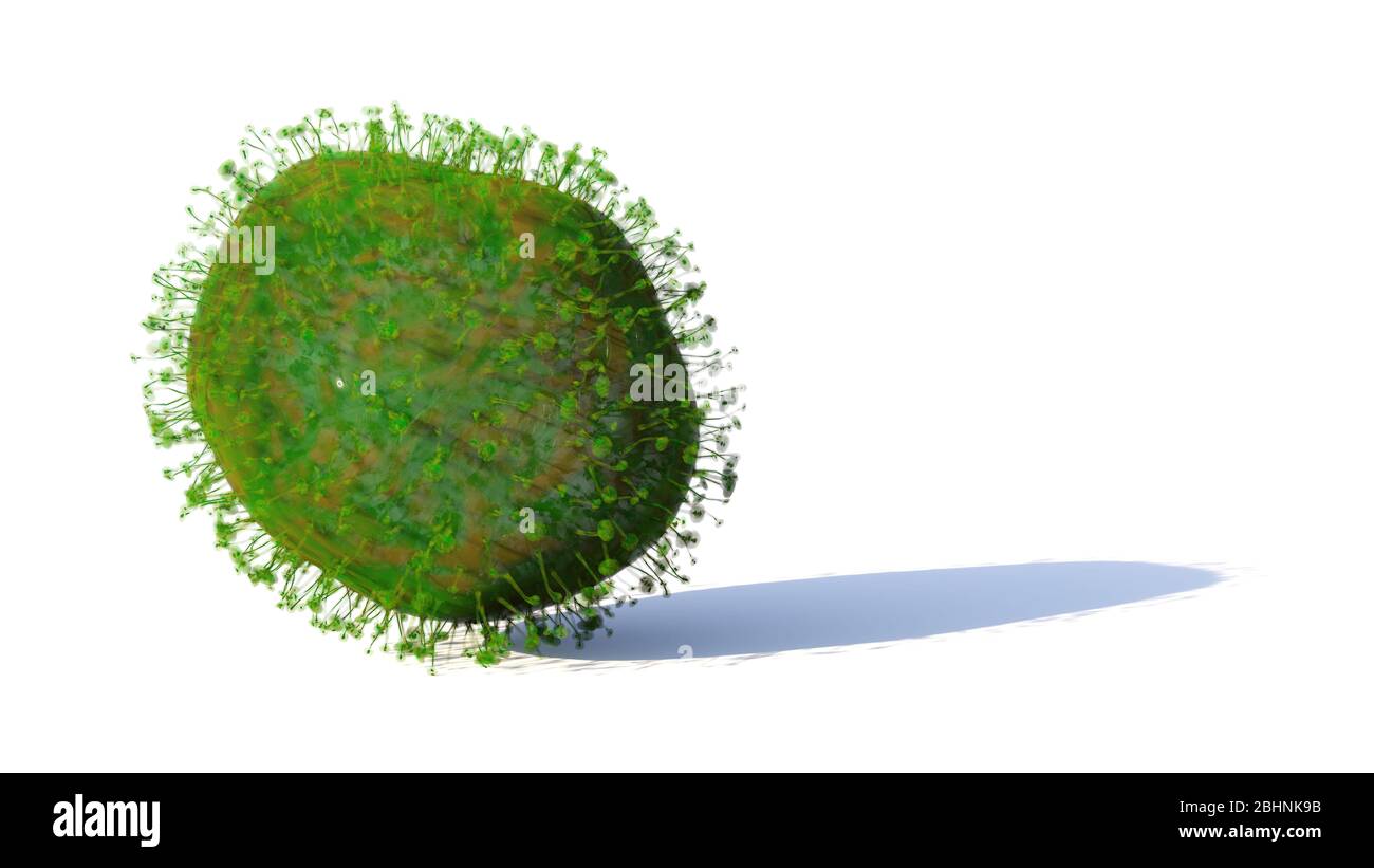 Coronavirus epidemic, Covid-19 virus on white ground Stock Photo