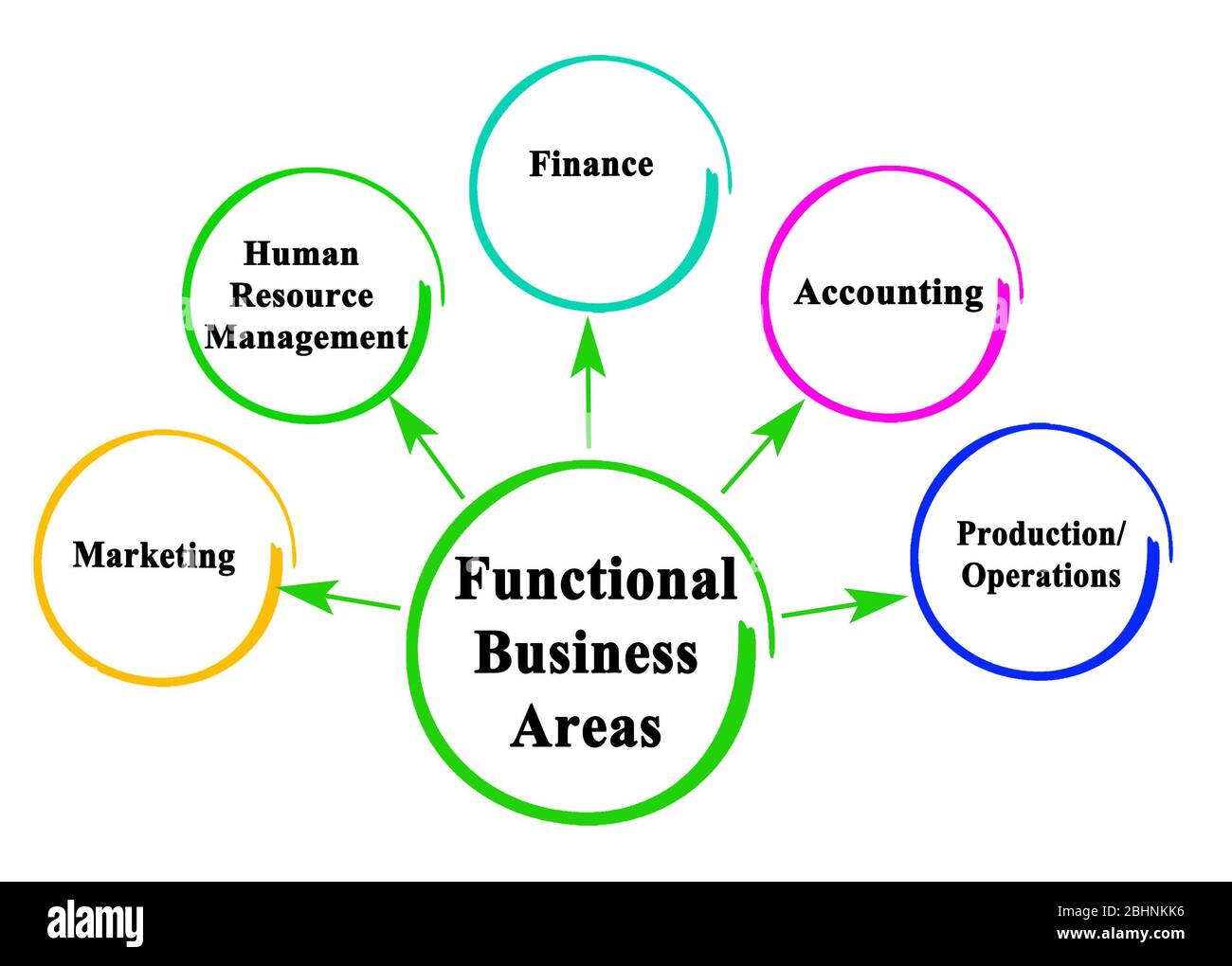 Five Functional Business Areas Stock Photo