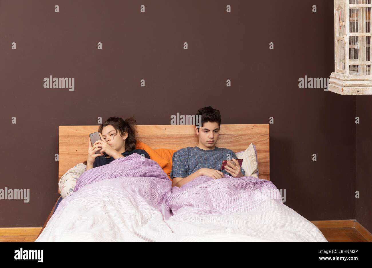brother and sister in the same bed chatting with phone Stock Photo - Alamy
