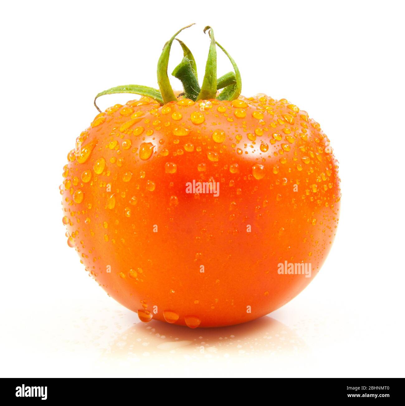 tomato with drops water on white background Stock Photo - Alamy