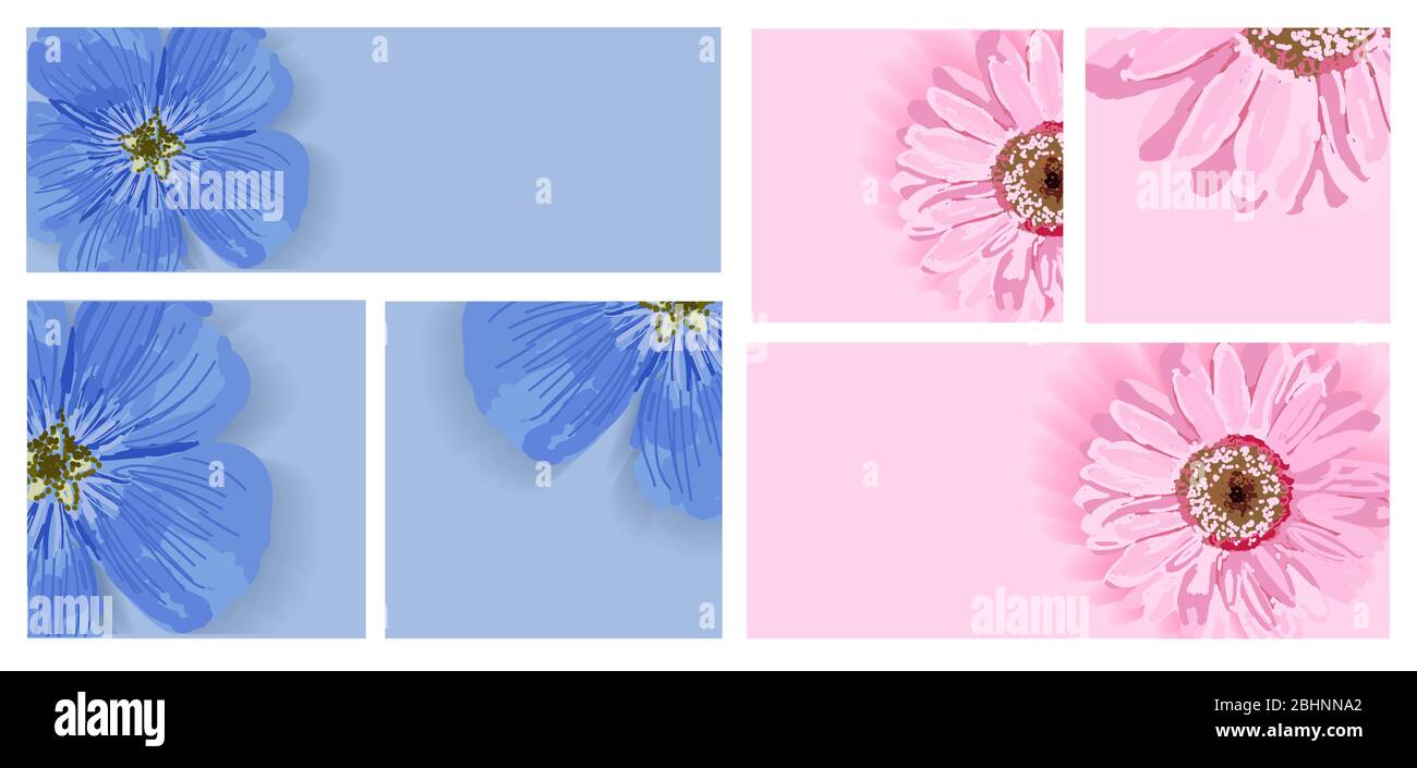 alamy