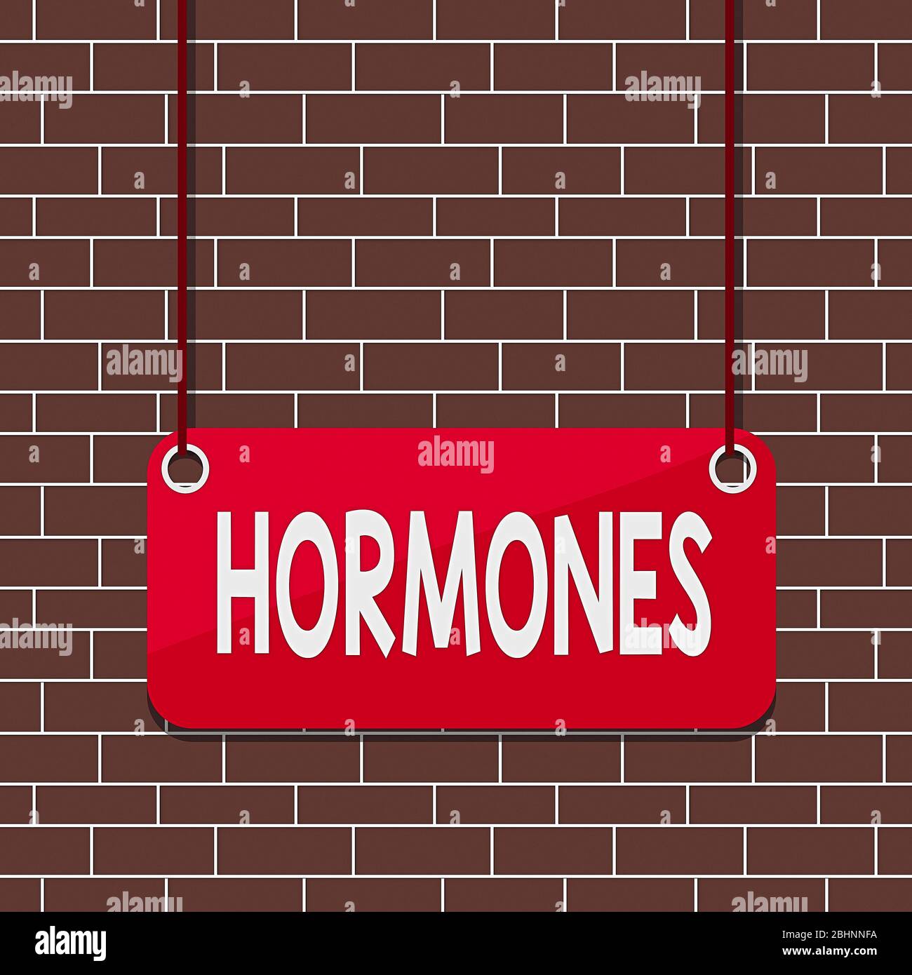 Estrogen experiment hi-res stock photography and images - Alamy