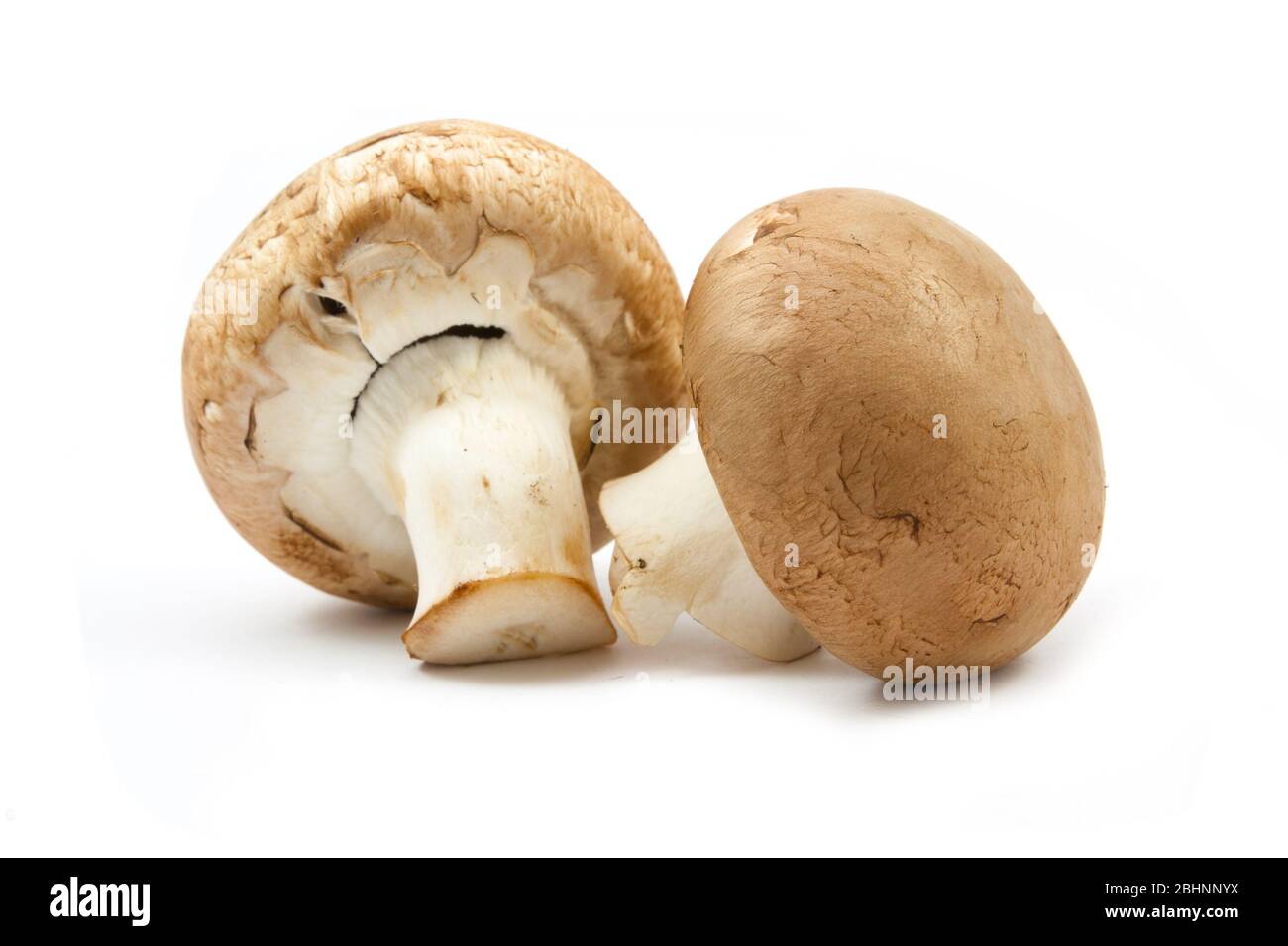 fresh champignons brown version isolated on white background Stock Photo