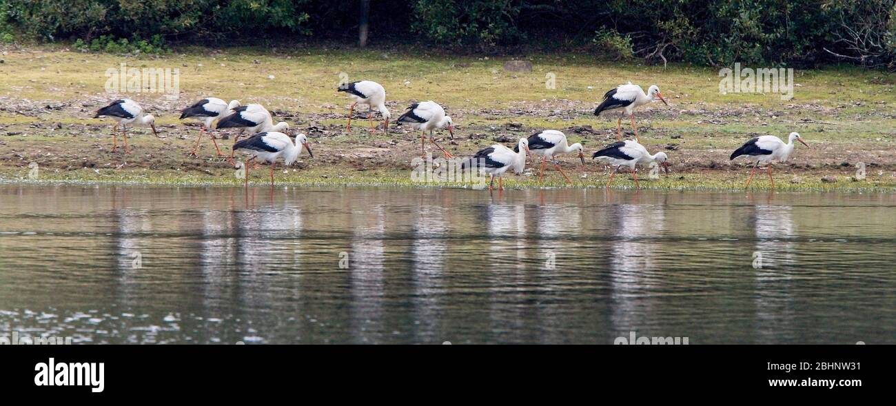 Drift reservoir hi-res stock photography and images - Alamy