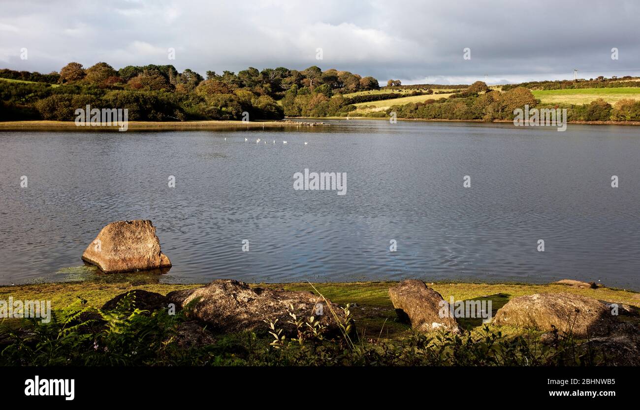 Drift Reservoir, Cornwall, England, UK. Stock Photo