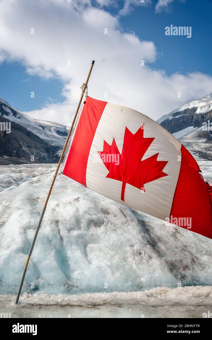 Canadian Canada Flag Hi Res Stock Photography And Images Alamy