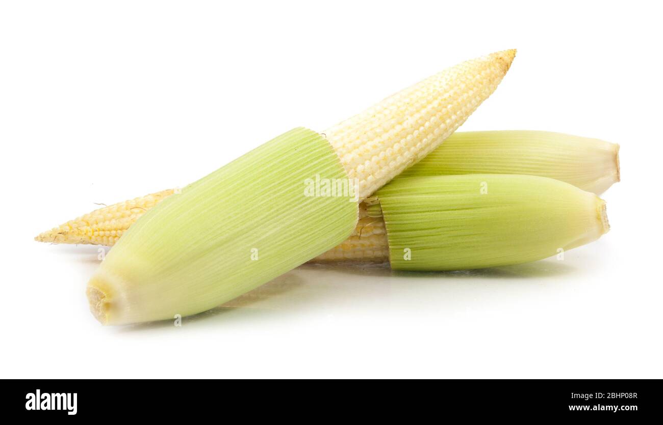 baby corn isolated on white background Stock Photo - Alamy