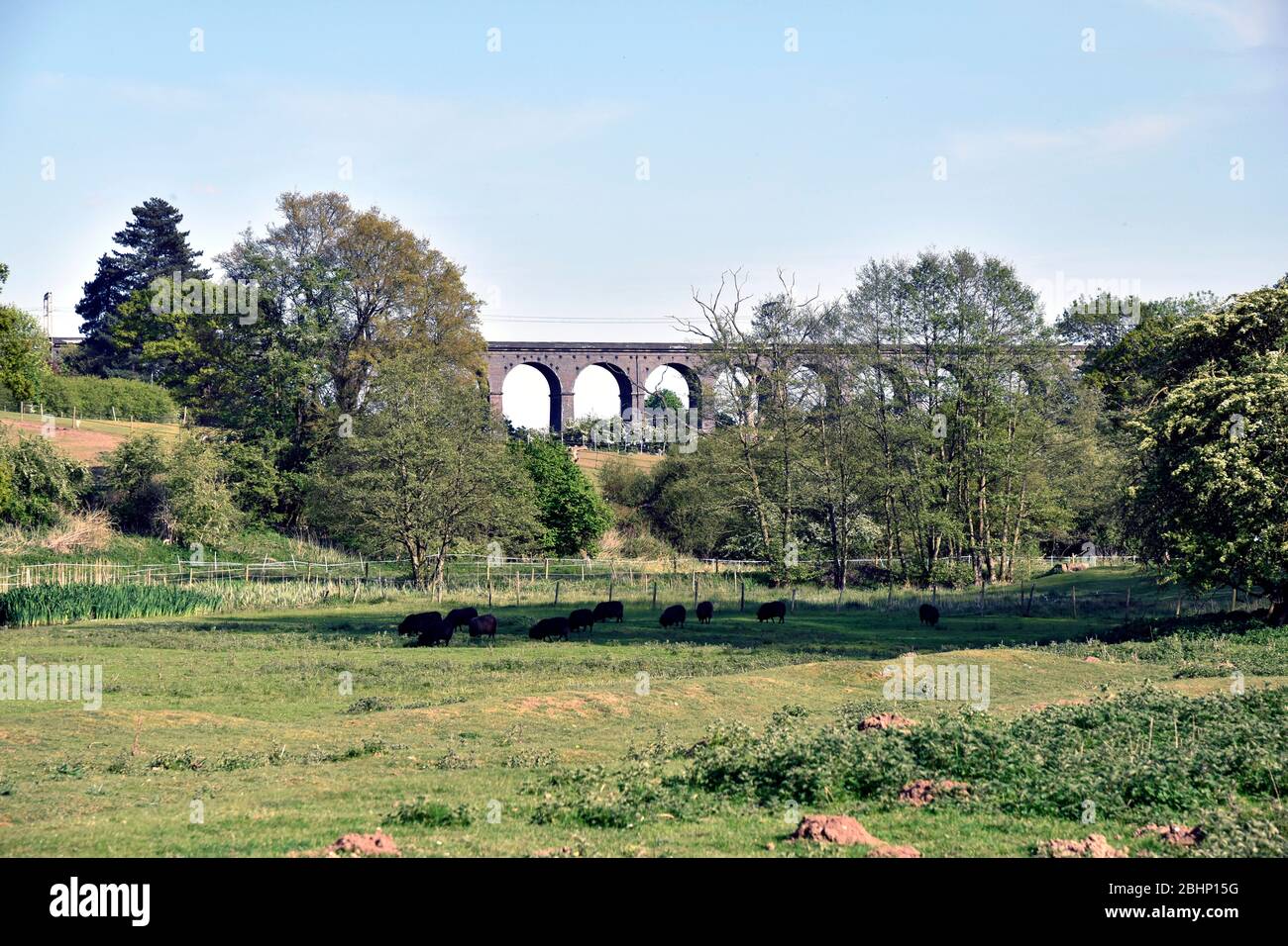 Digswell Viaduct Stock Photo