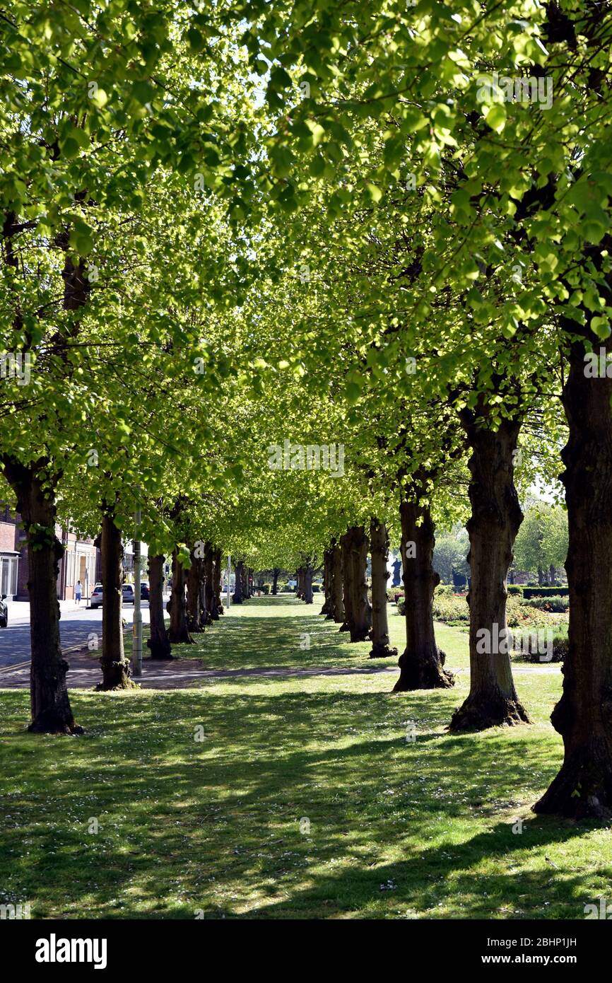 Welwyn Garden City Stock Photo Alamy