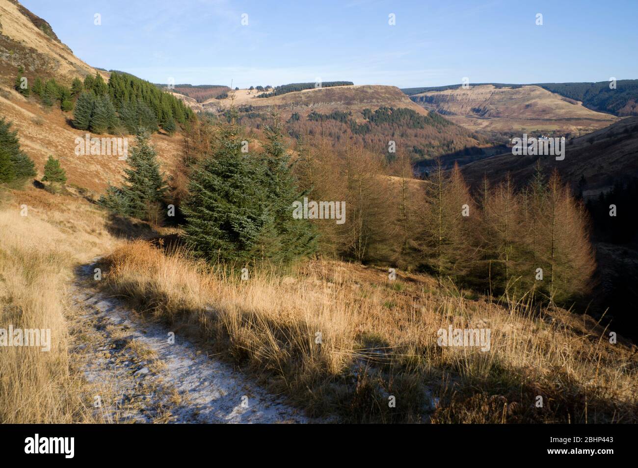 cwm seisig, blaen cwm, rhondda valley, rhondda cynon taf, south wales. Stock Photo