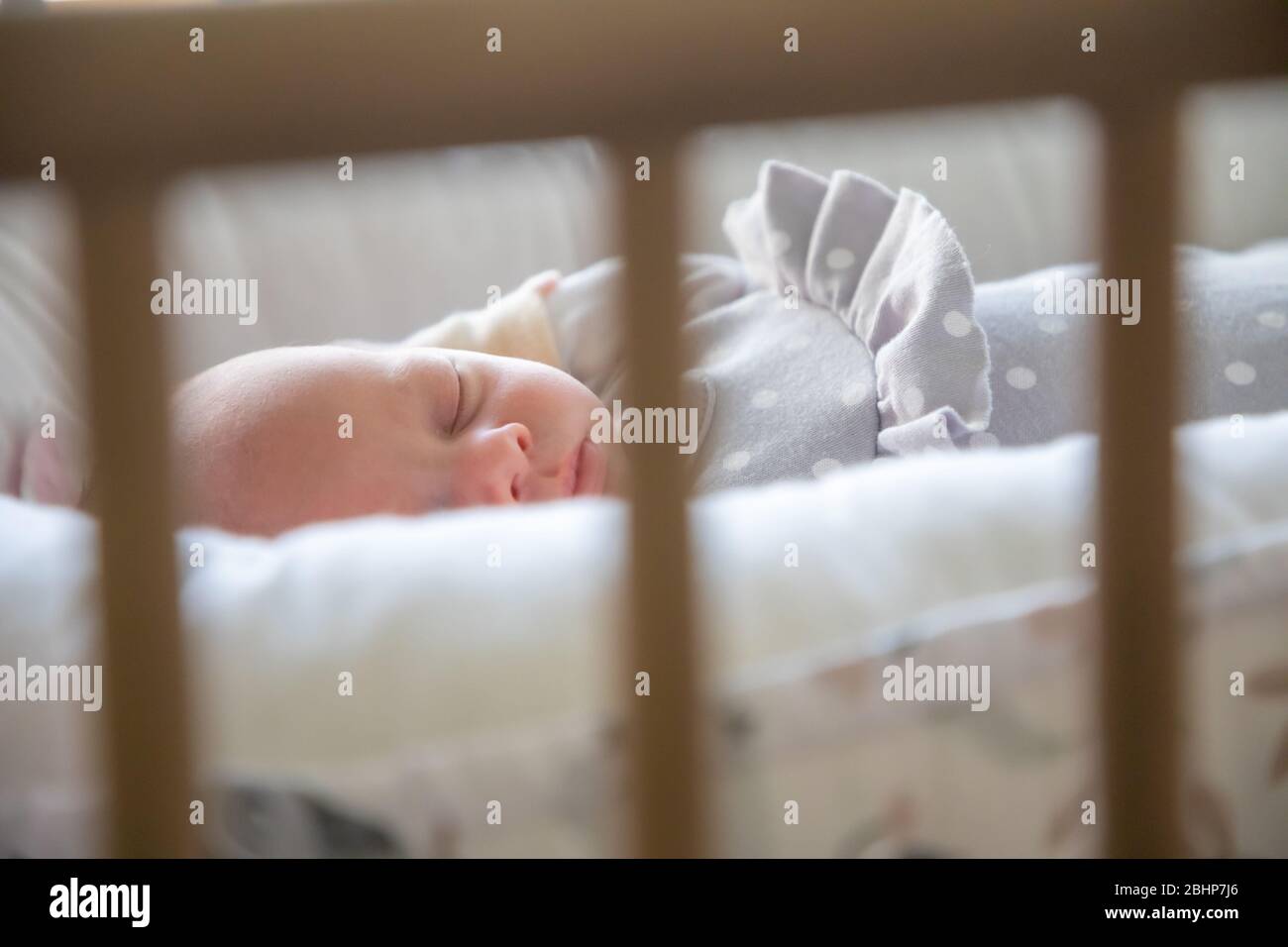 Close-up portrait of a beautiful newborn baby in the bed Stock Photo