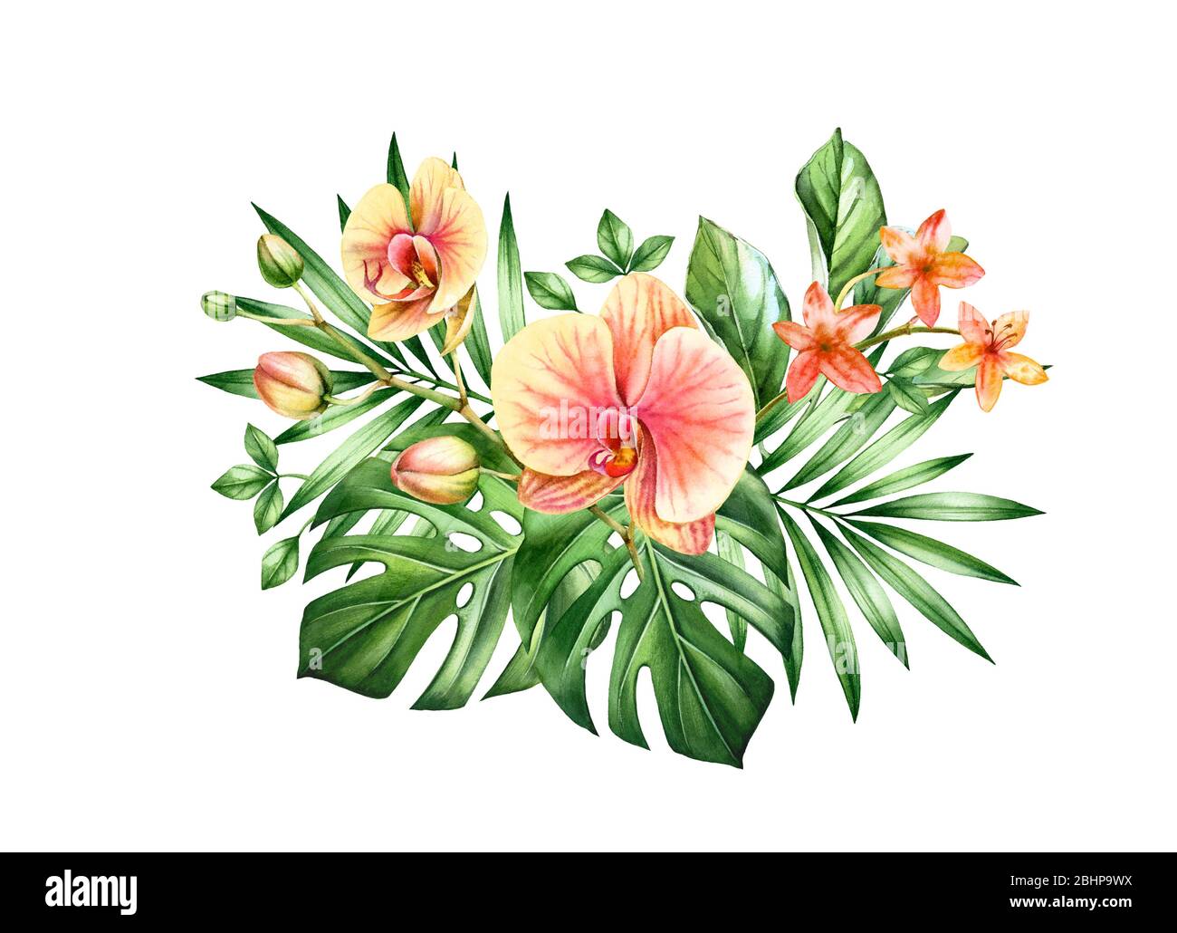 Watercolor Orchid bouquet. Big Yellow flowers and palm, monstera leaves. Hand painted floral tropical background. Botanical illustrations isolated on Stock Photo