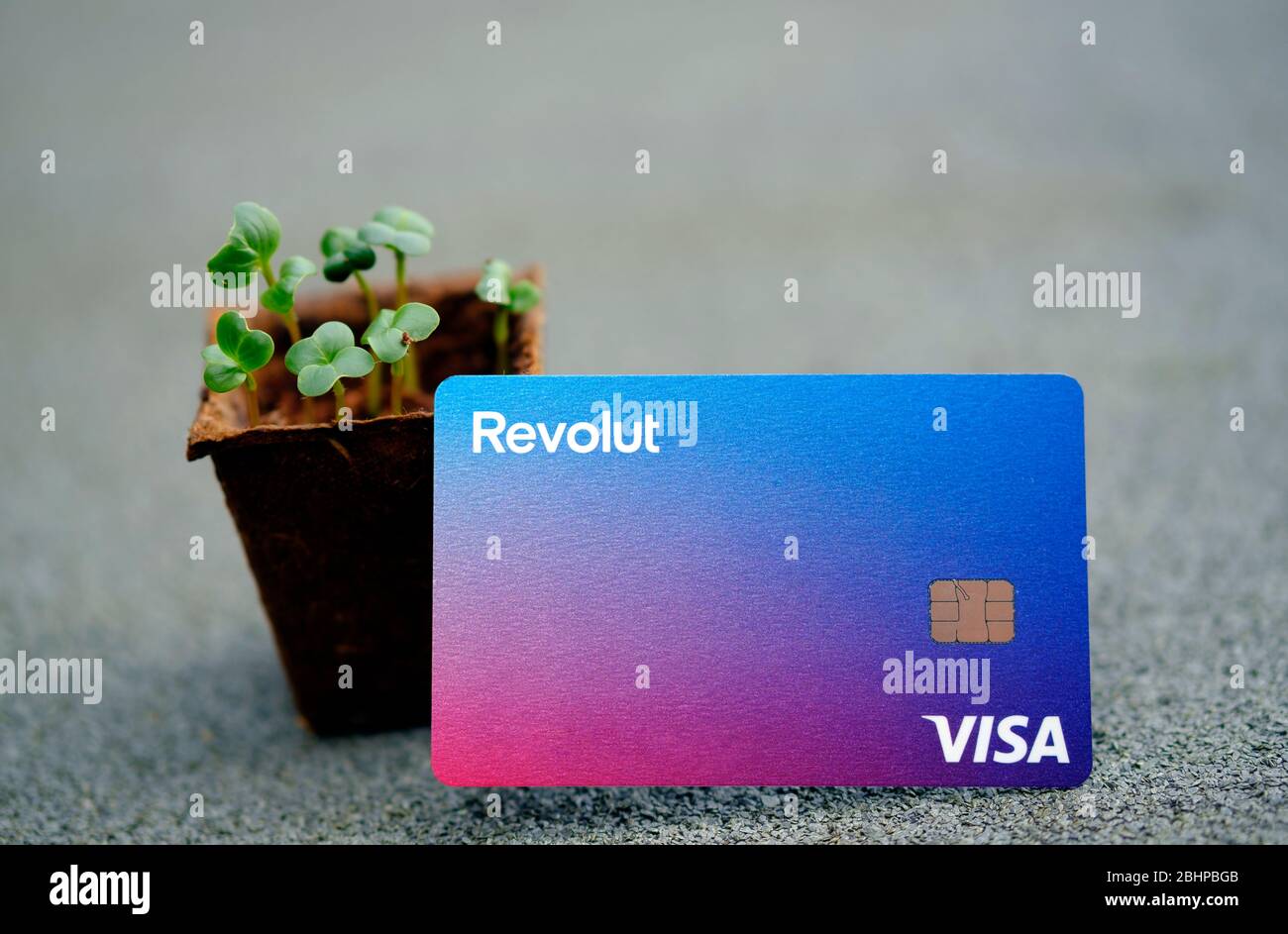 Stone / United Kingdom - April 26 2020: Revolut bank card placed next to a pot with a new plant. Concept for growth of business. Stock Photo
